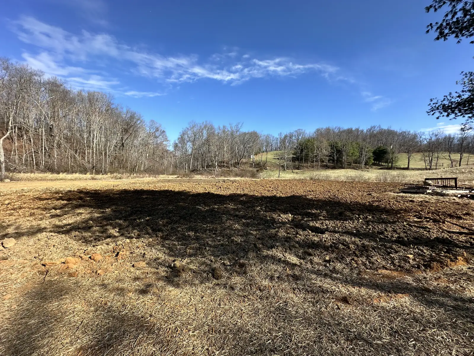 Excavated pond project with mature forest backdrop in Roanoke