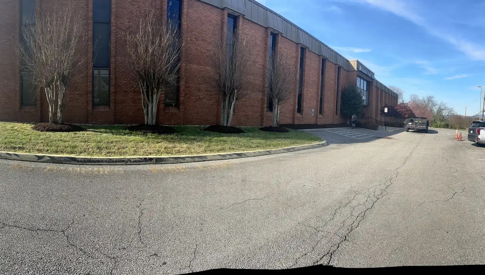Professional mulch installation around tree rings in Roanoke