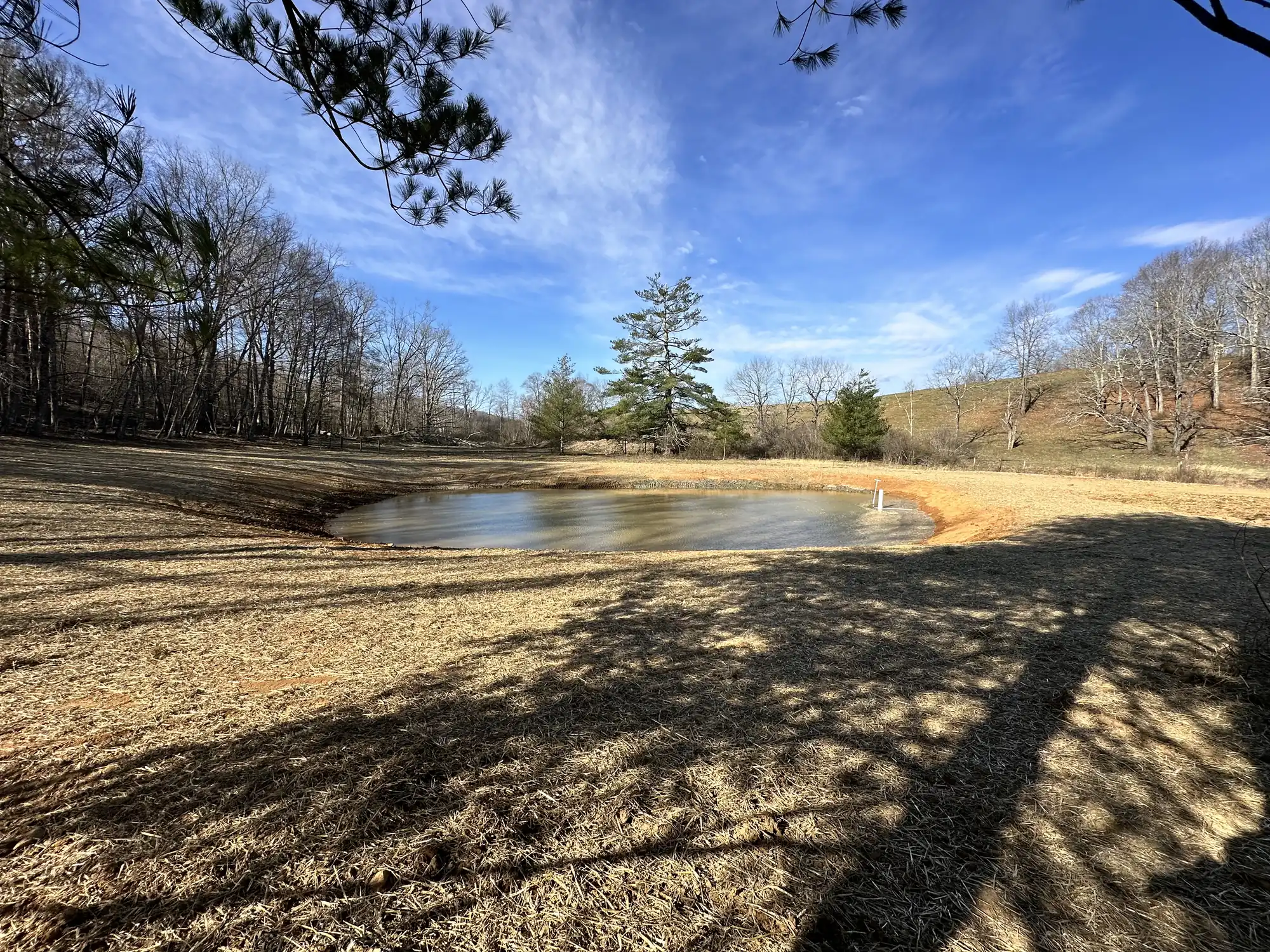 Retention pond with tree preservation near Roanoke