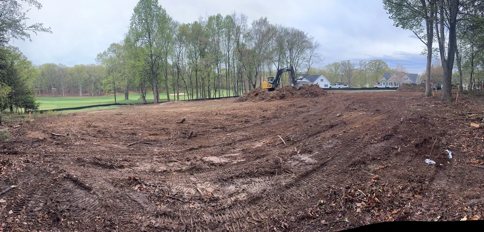 Professional tree clearing for site preparation near Roanoke